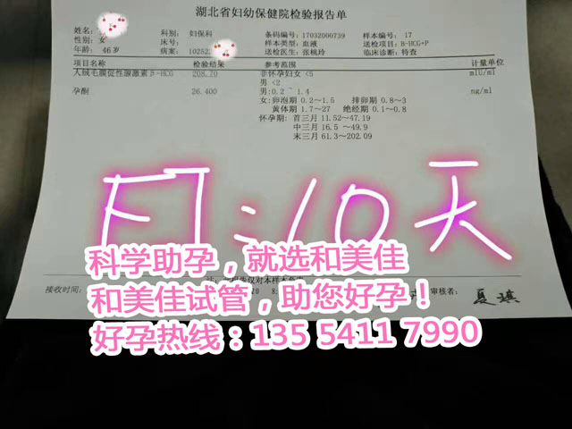 怀孕,助孕