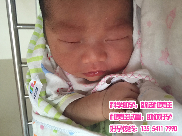 广州代妈