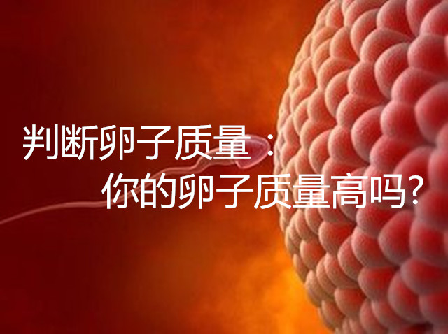 判断卵子质量:你的卵子质量高吗?