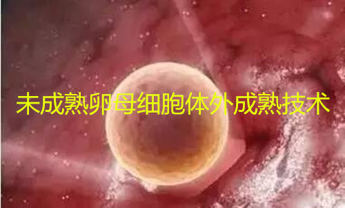 未成熟卵母细胞体外成熟技术
